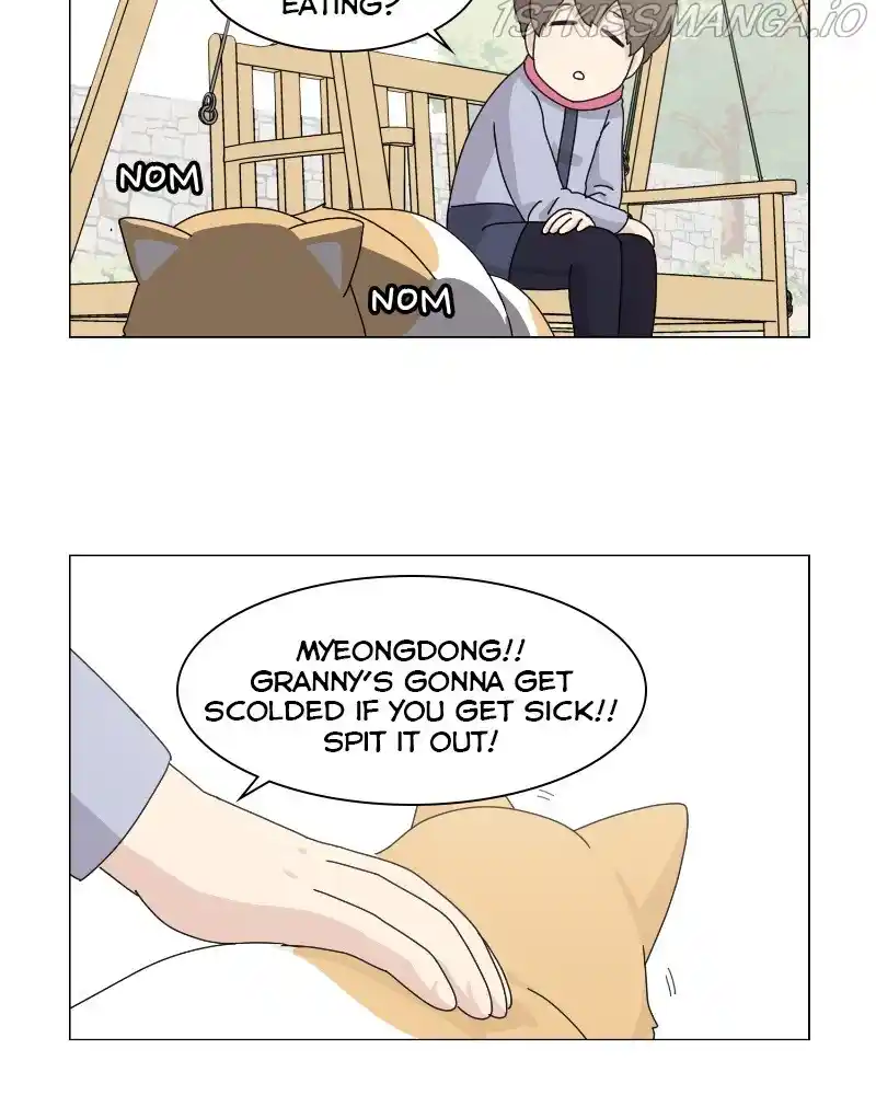 The Dog Diaries Chapter 62