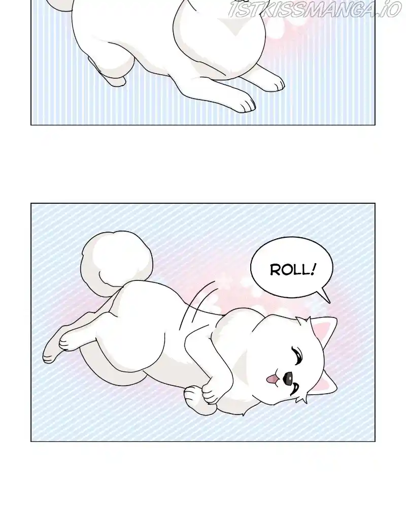 The Dog Diaries Chapter 62