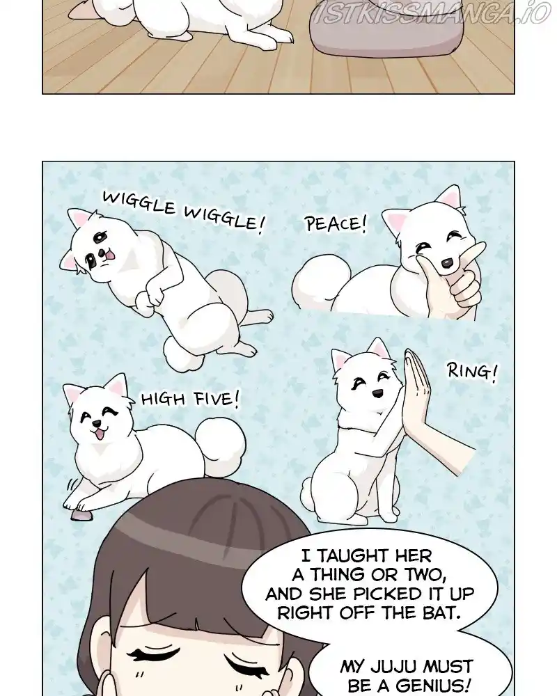 The Dog Diaries Chapter 62