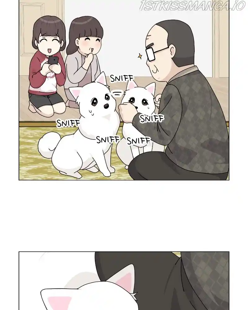 The Dog Diaries Chapter 62