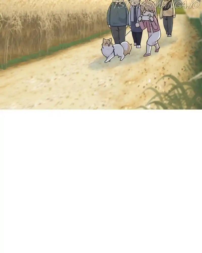 The Dog Diaries Chapter 63