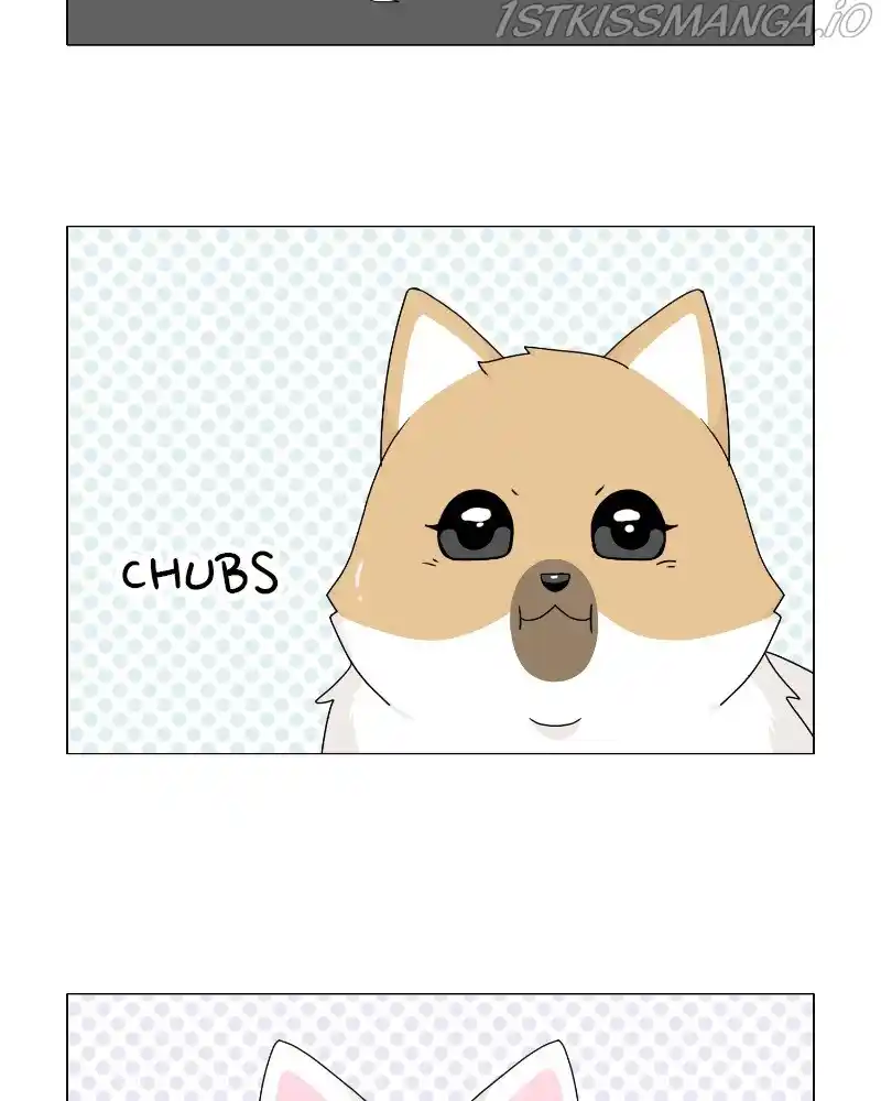 The Dog Diaries Chapter 63