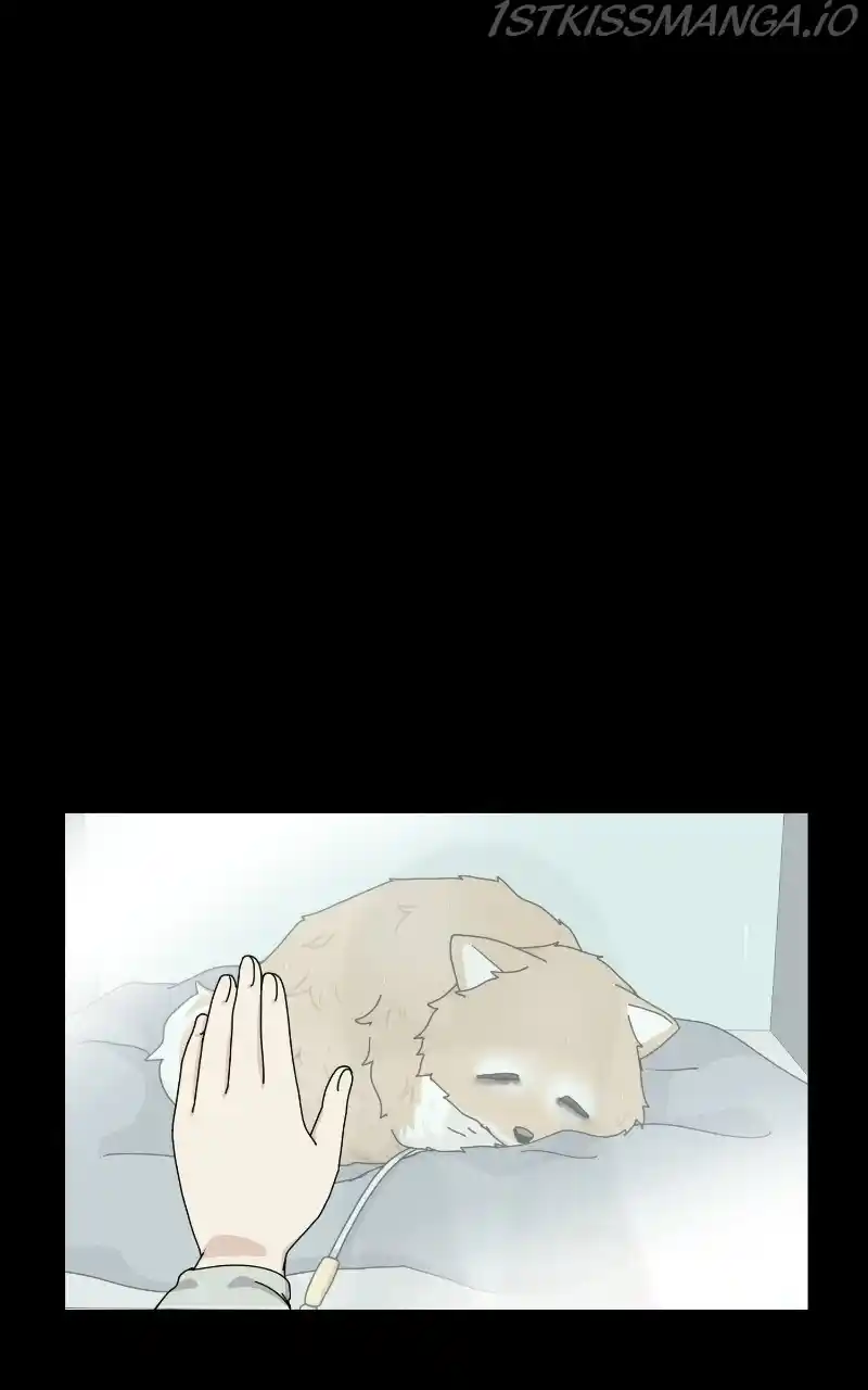 The Dog Diaries Chapter 64