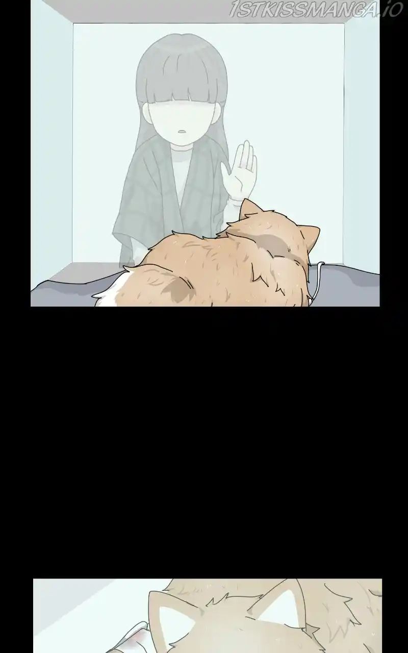 The Dog Diaries Chapter 64