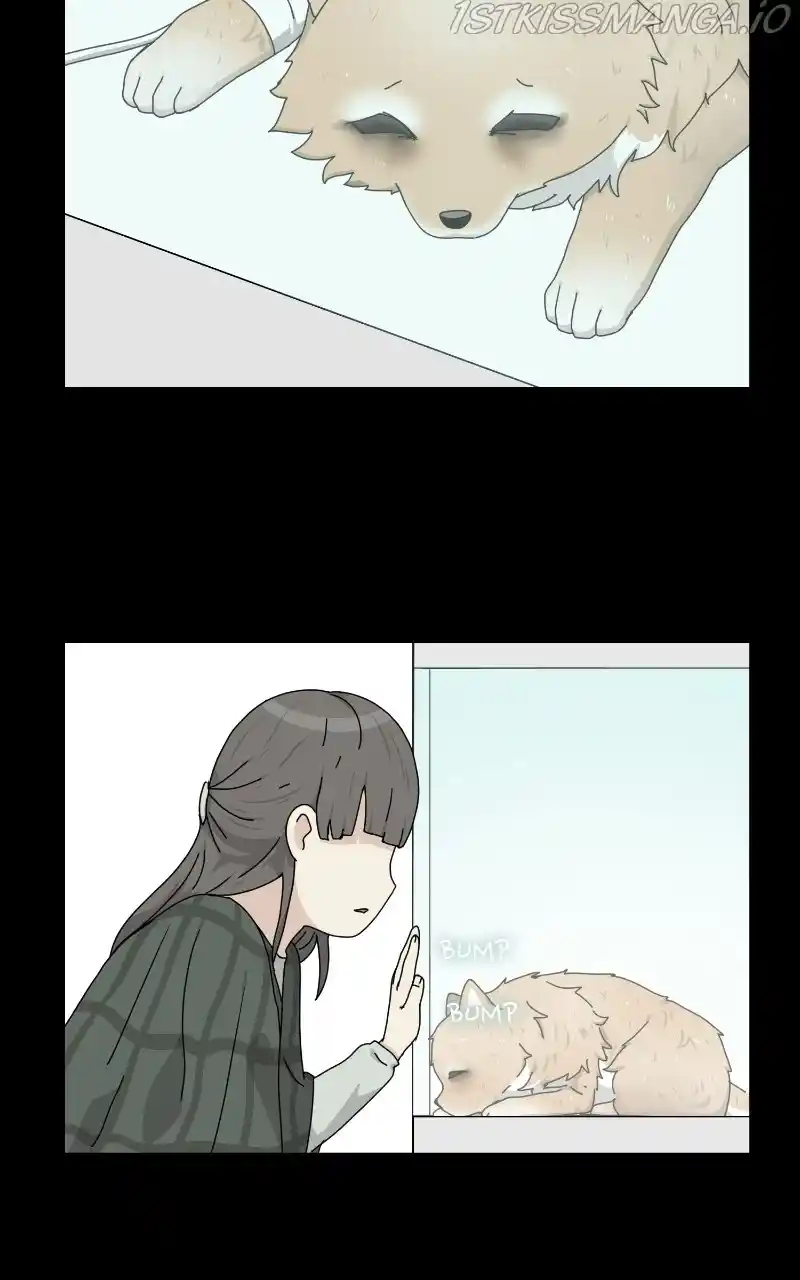 The Dog Diaries Chapter 64