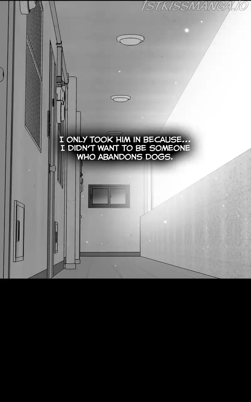 The Dog Diaries Chapter 64