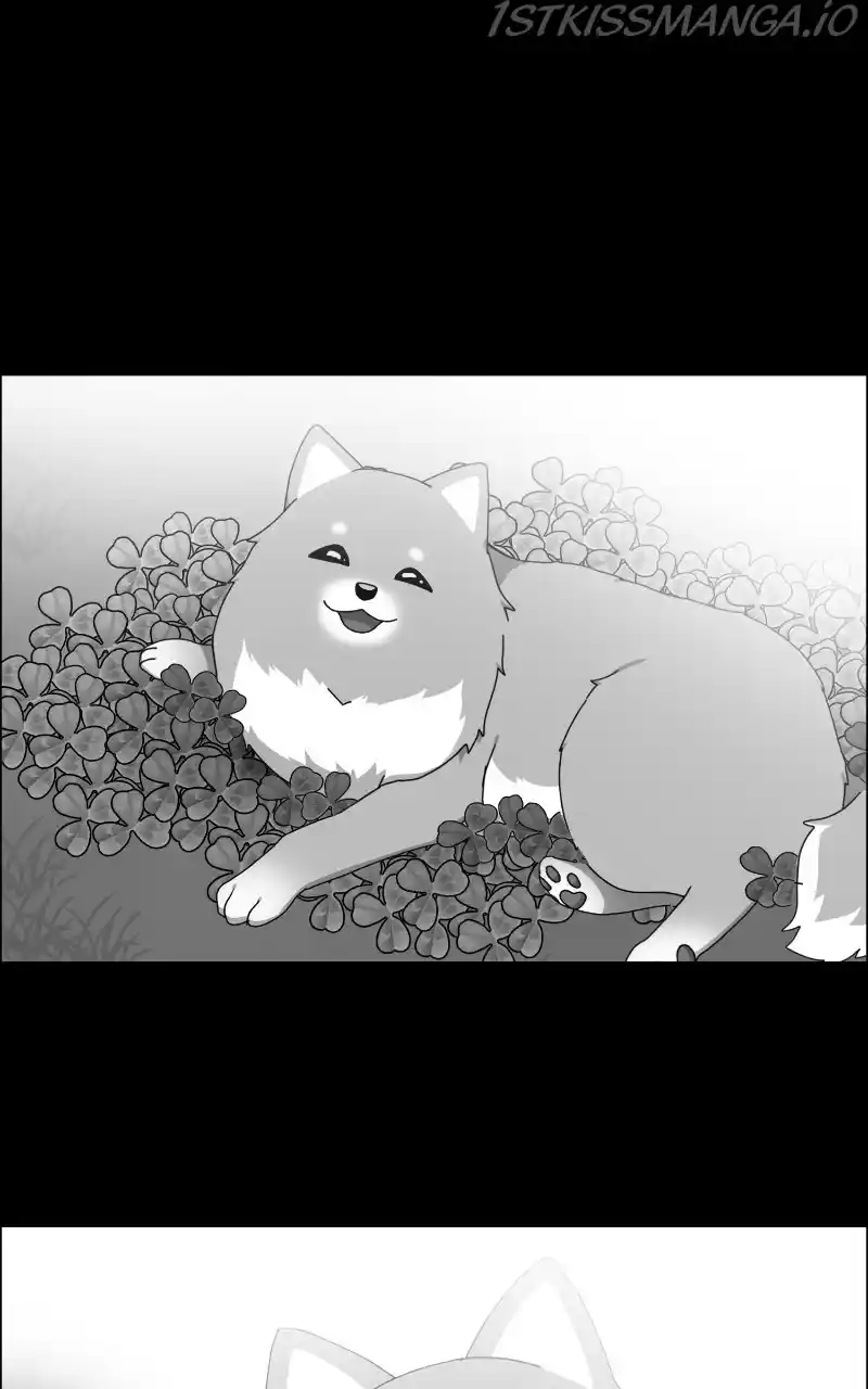 The Dog Diaries Chapter 64