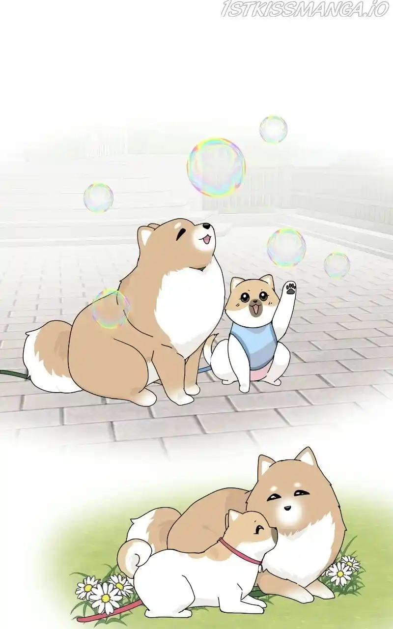 The Dog Diaries Chapter 65