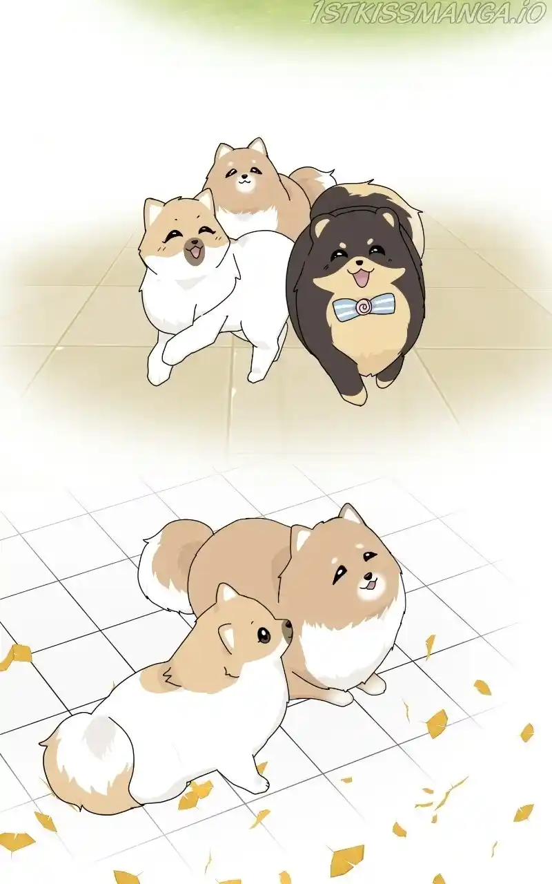 The Dog Diaries Chapter 65