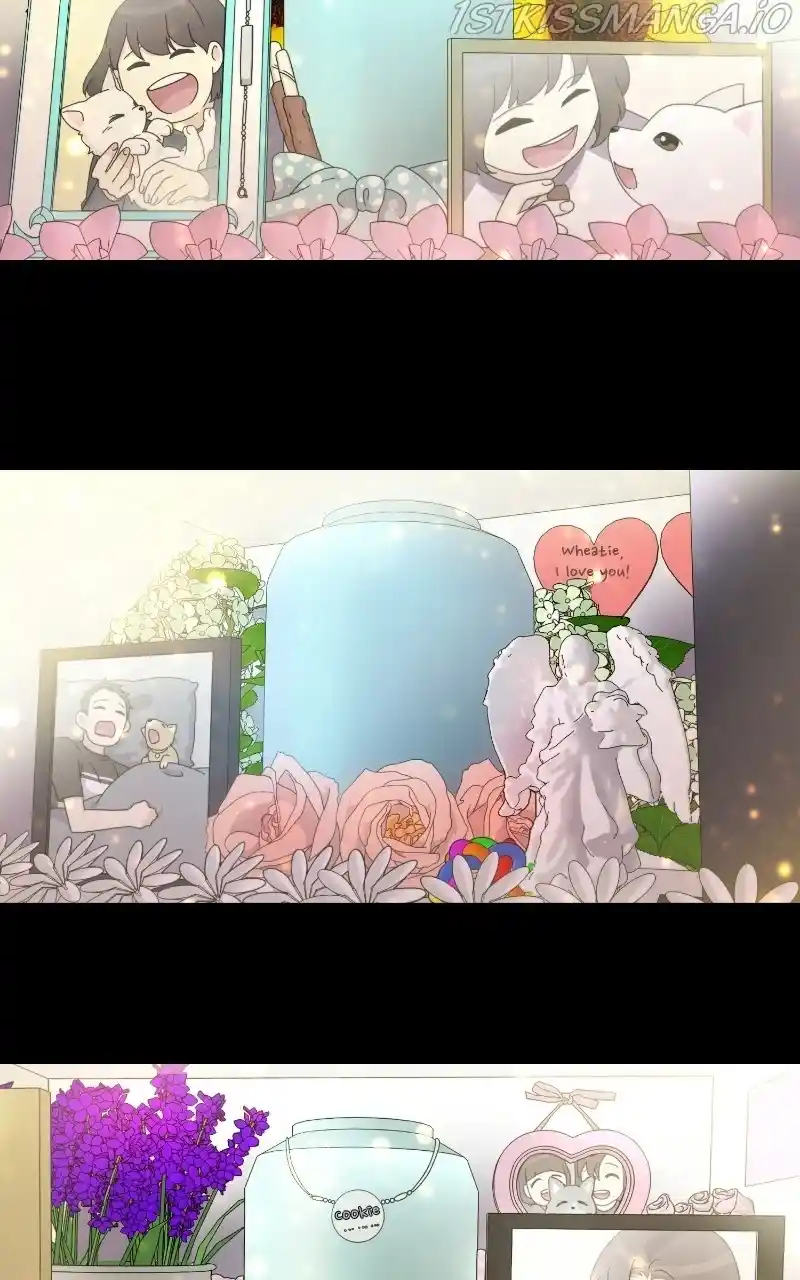 The Dog Diaries Chapter 65