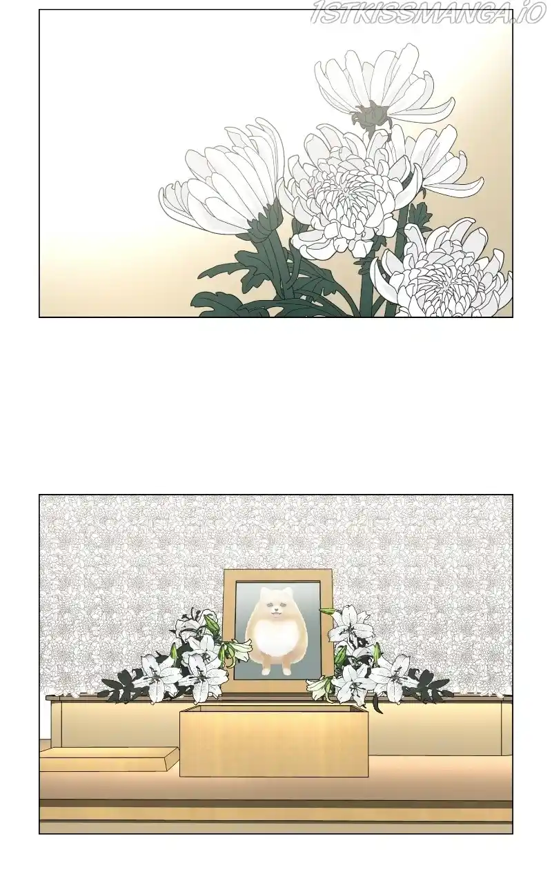 The Dog Diaries Chapter 65