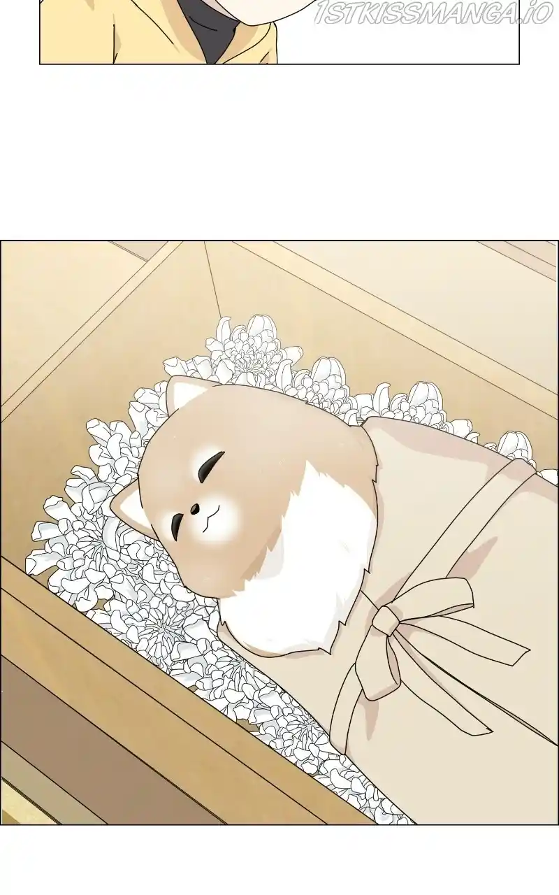 The Dog Diaries Chapter 65