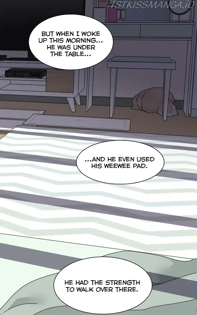 The Dog Diaries Chapter 65