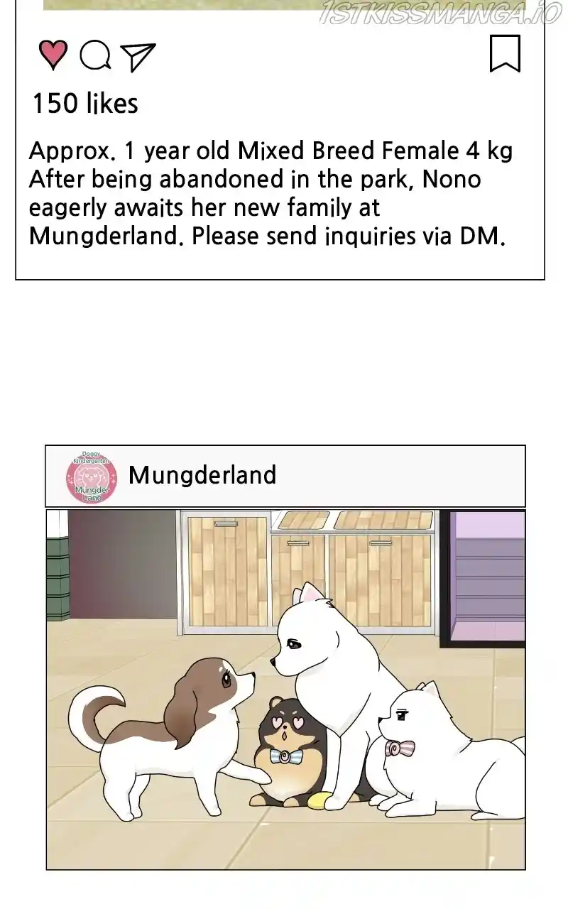 The Dog Diaries Chapter 66