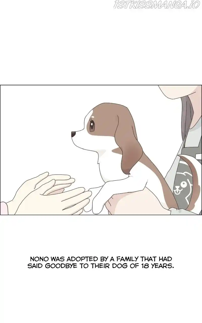 The Dog Diaries Chapter 67