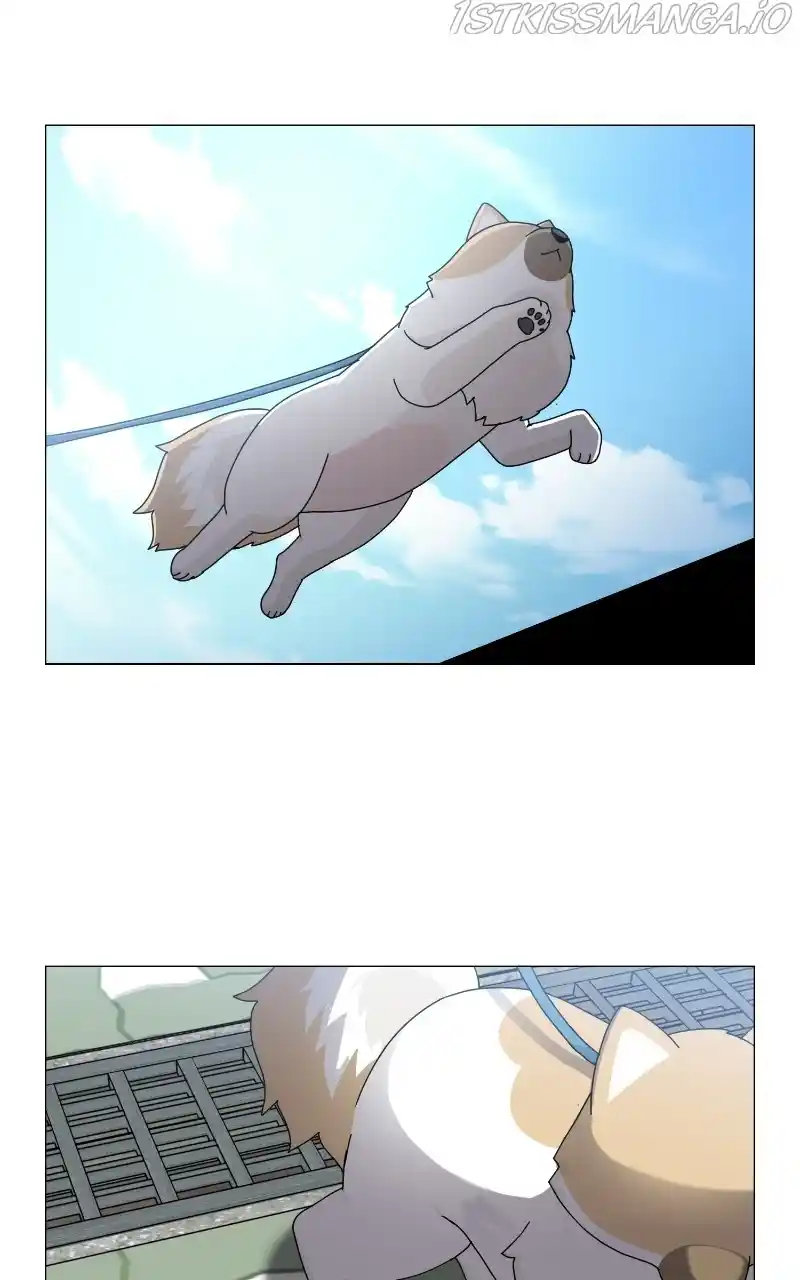 The Dog Diaries Chapter 68
