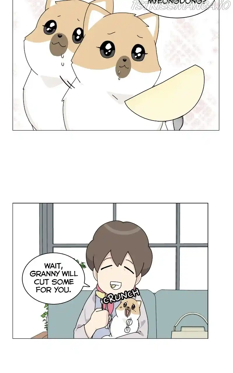 The Dog Diaries Chapter 68