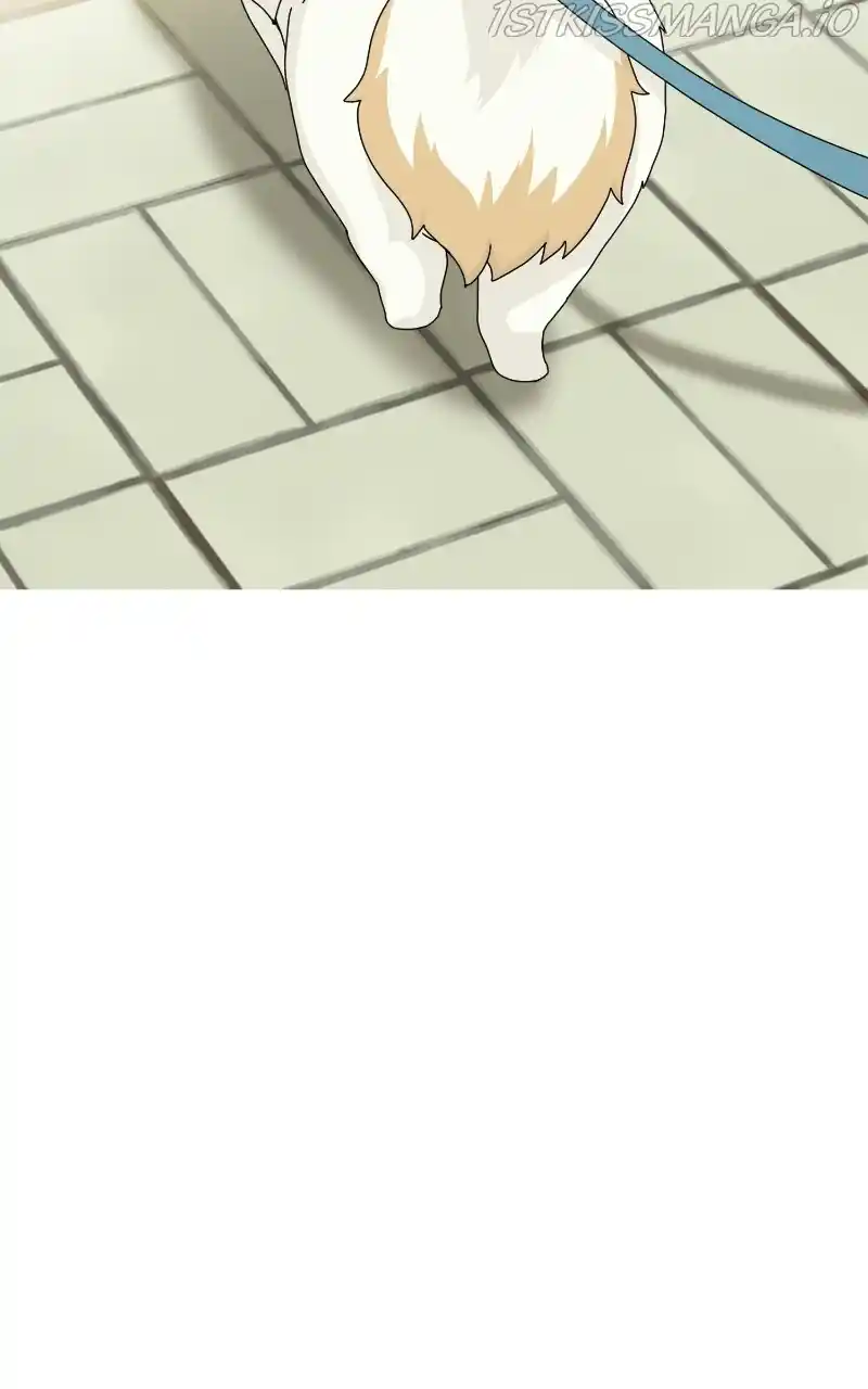 The Dog Diaries Chapter 68