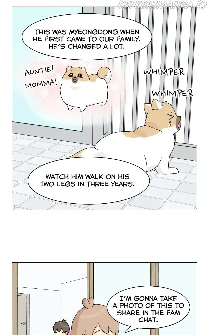 The Dog Diaries Chapter 68