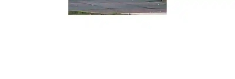 The Dog Diaries Chapter 68.5