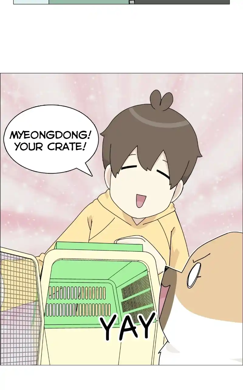 The Dog Diaries Chapter 69