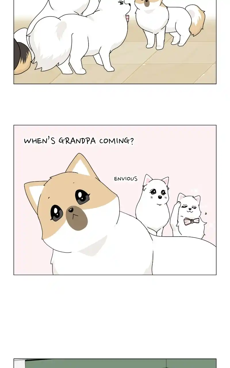 The Dog Diaries Chapter 69