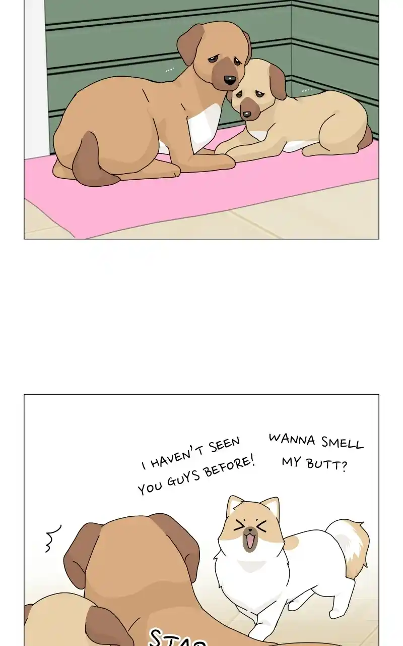 The Dog Diaries Chapter 69