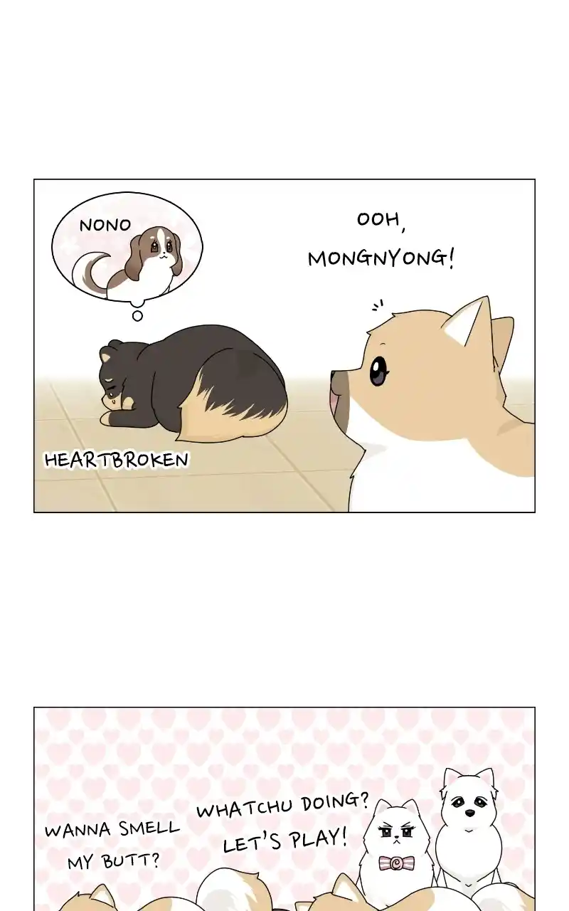 The Dog Diaries Chapter 69