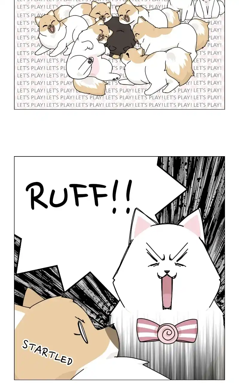 The Dog Diaries Chapter 69