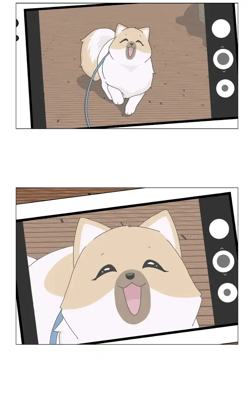 The Dog Diaries Chapter 69