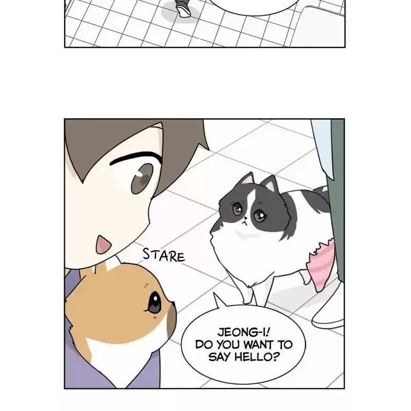 The Dog Diaries Chapter 7