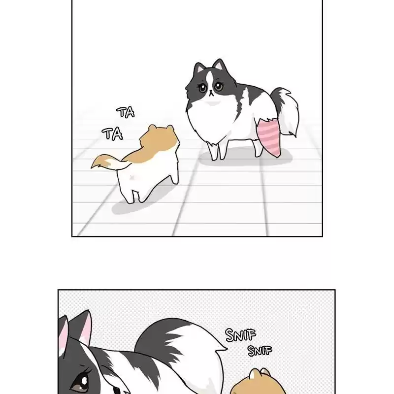 The Dog Diaries Chapter 7