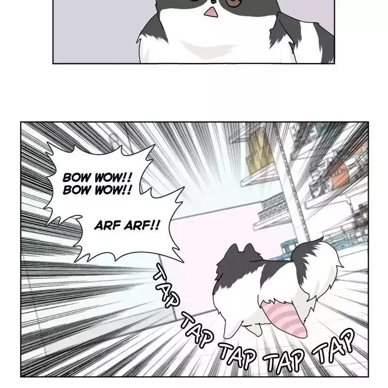 The Dog Diaries Chapter 7