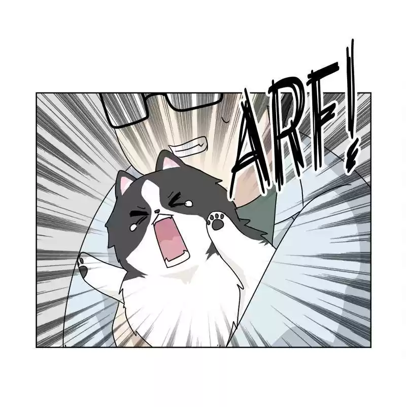 The Dog Diaries Chapter 7