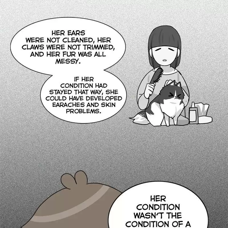 The Dog Diaries Chapter 7