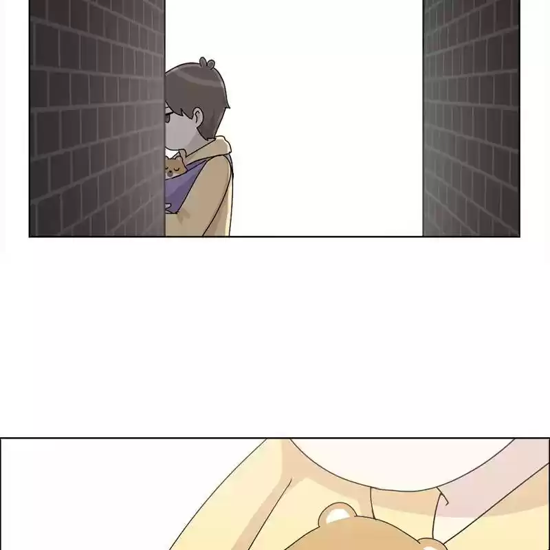 The Dog Diaries Chapter 7