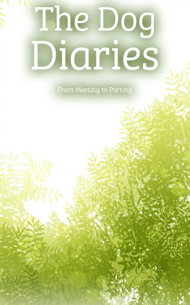 The Dog Diaries Chapter 71
