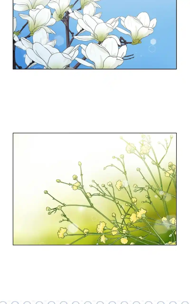 The Dog Diaries Chapter 72