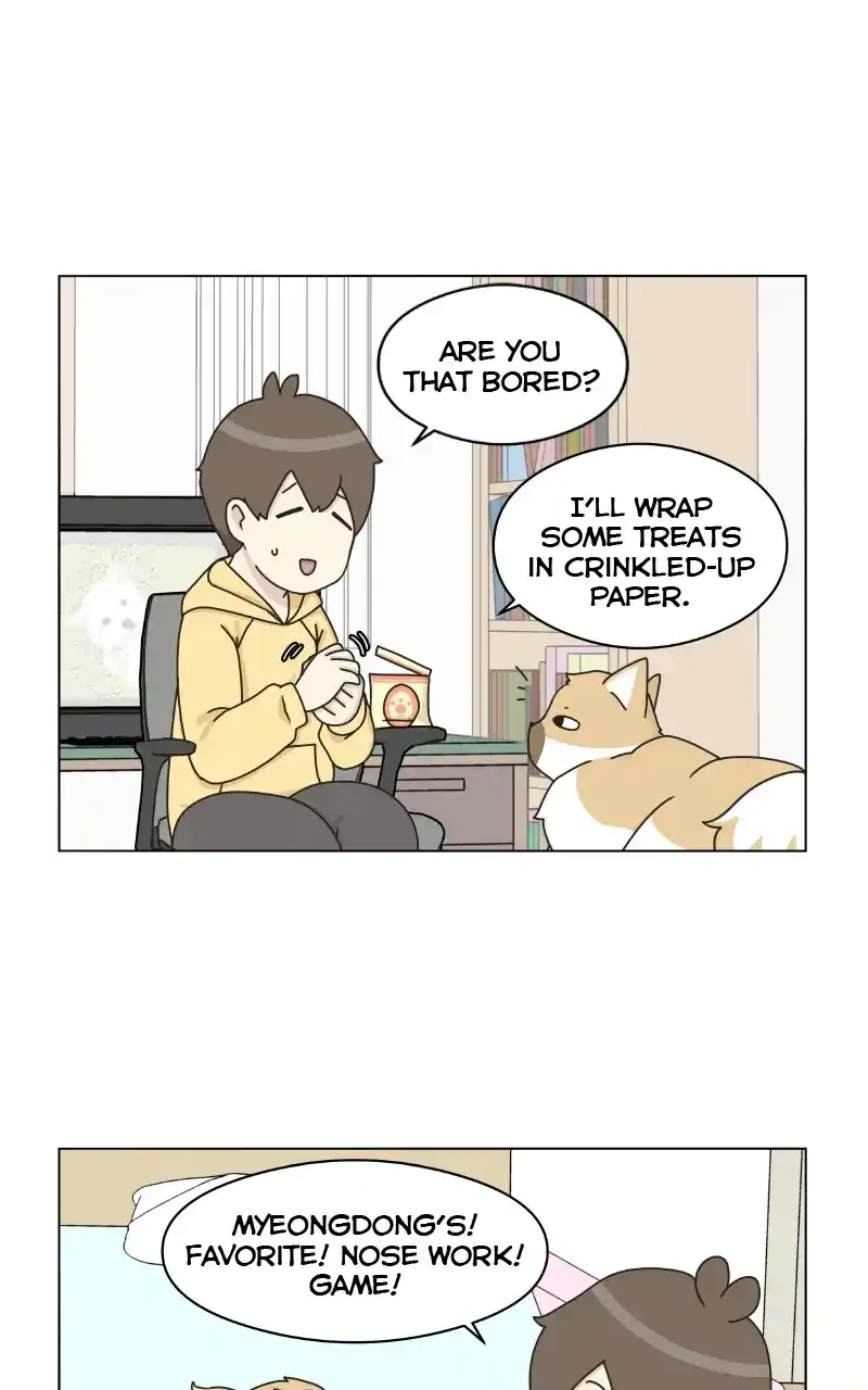 The Dog Diaries Chapter 72