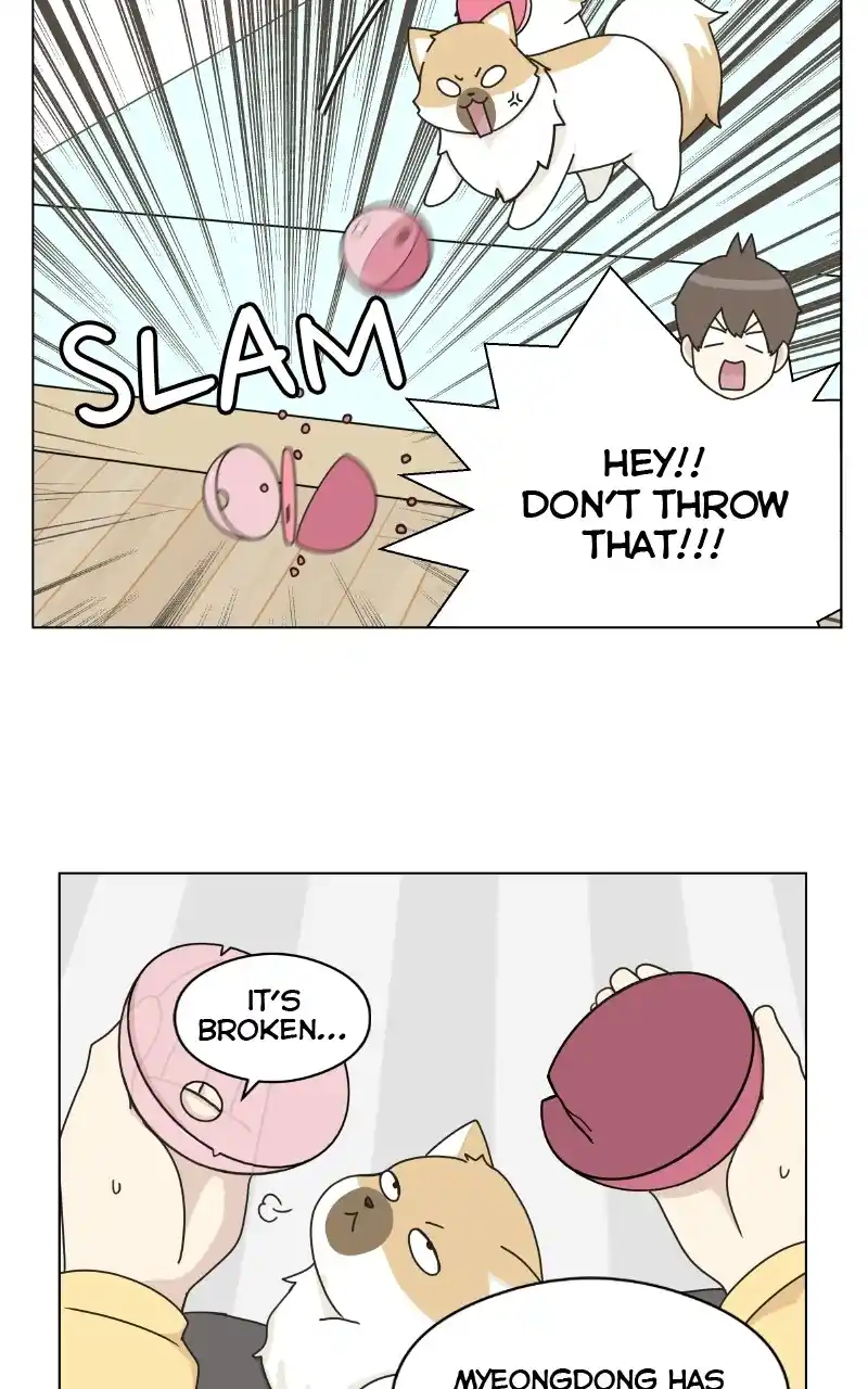 The Dog Diaries Chapter 72