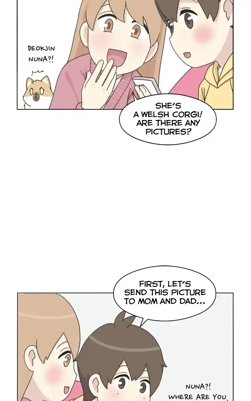 The Dog Diaries Chapter 72