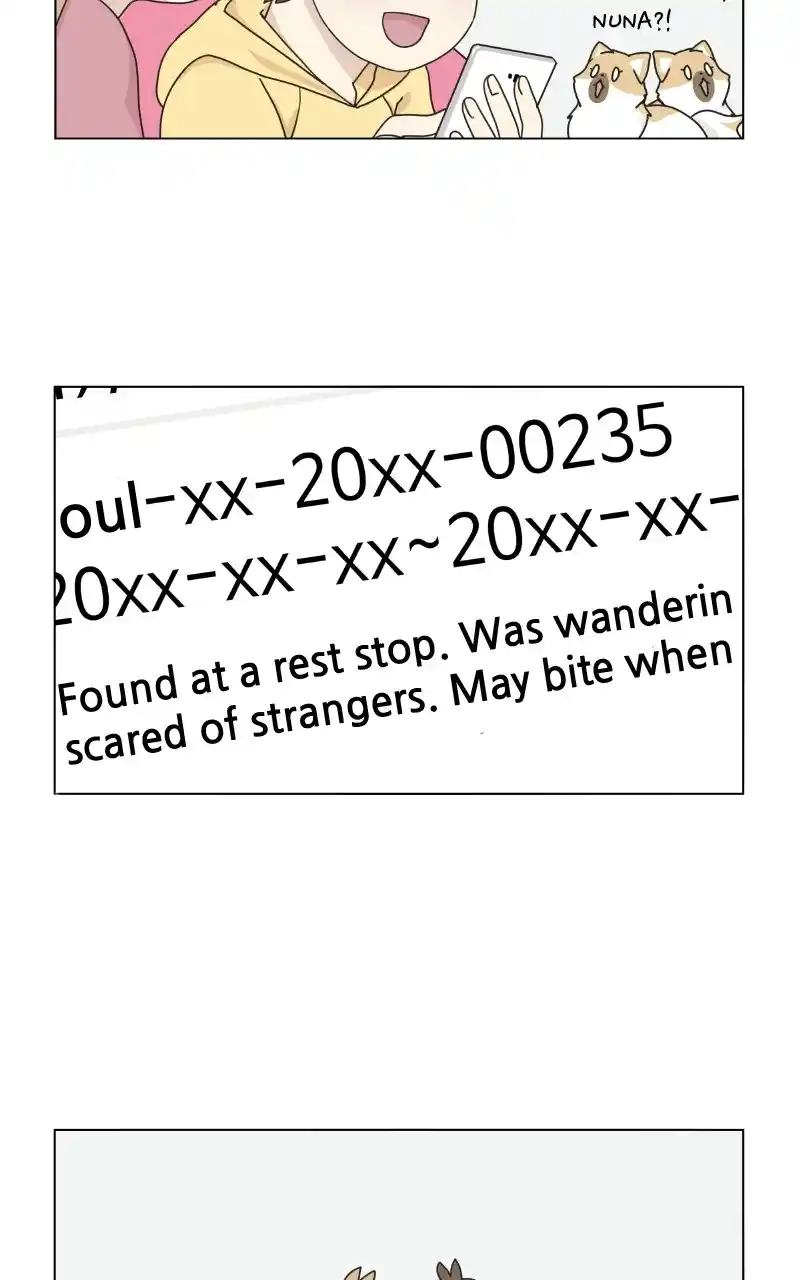 The Dog Diaries Chapter 72