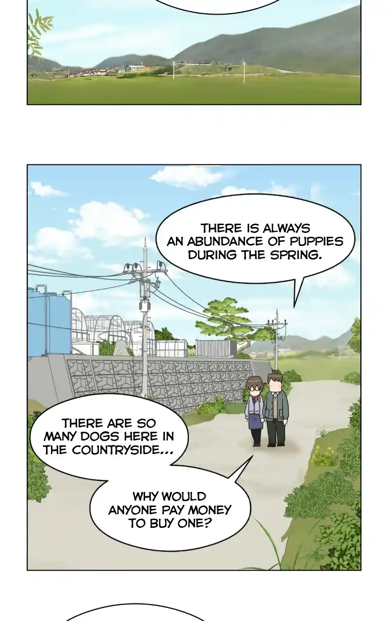 The Dog Diaries Chapter 72