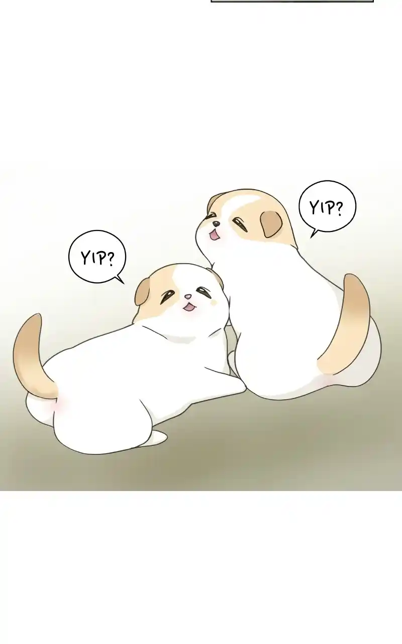 The Dog Diaries Chapter 72