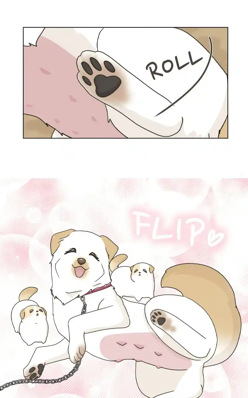 The Dog Diaries Chapter 72