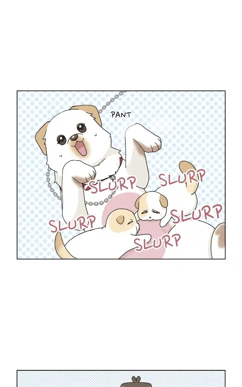 The Dog Diaries Chapter 72