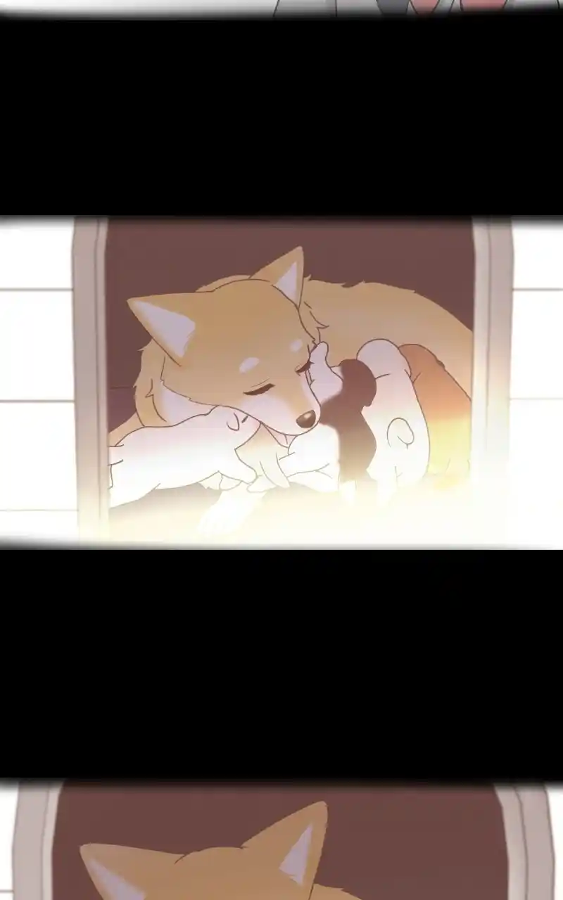 The Dog Diaries Chapter 72