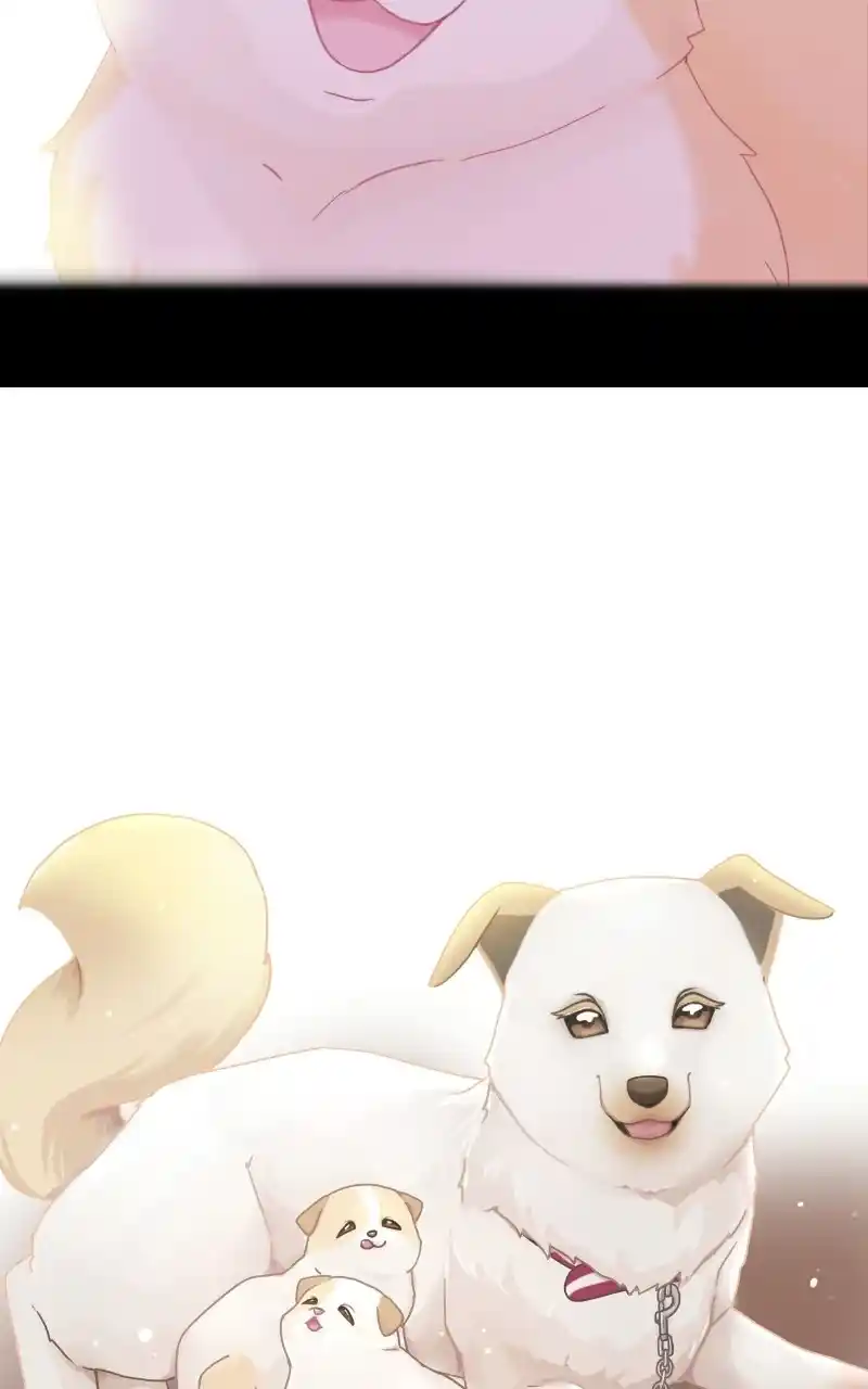 The Dog Diaries Chapter 72