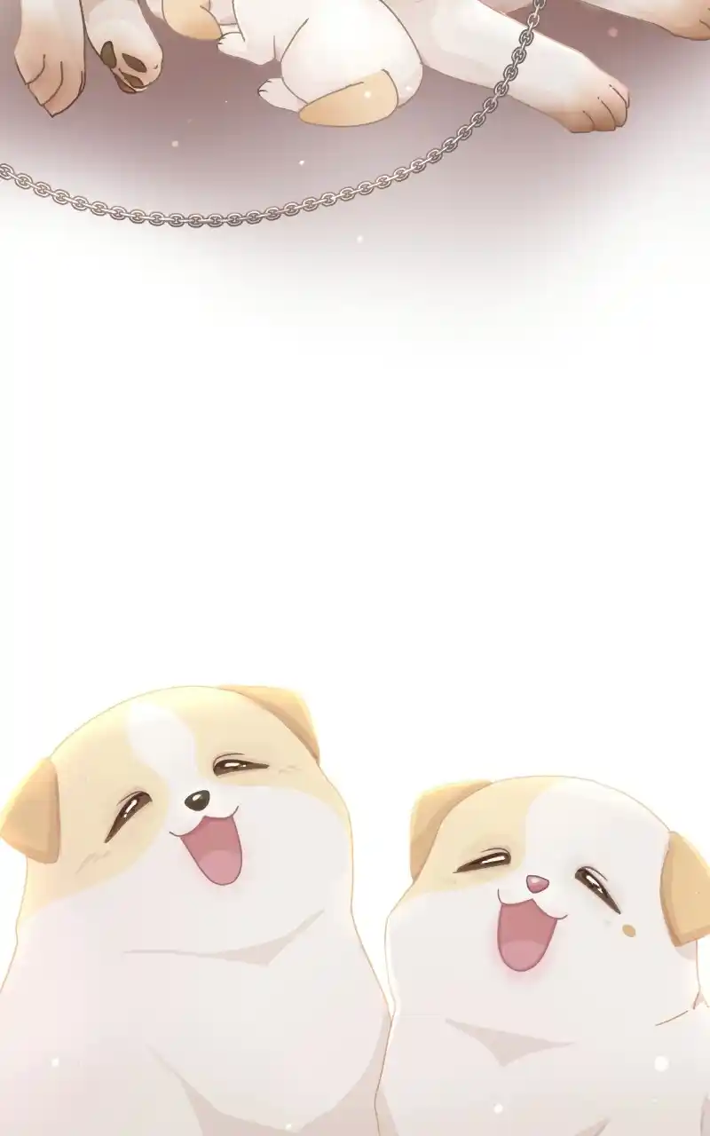 The Dog Diaries Chapter 72