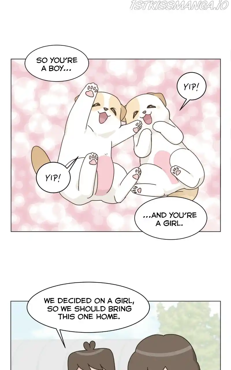 The Dog Diaries Chapter 73